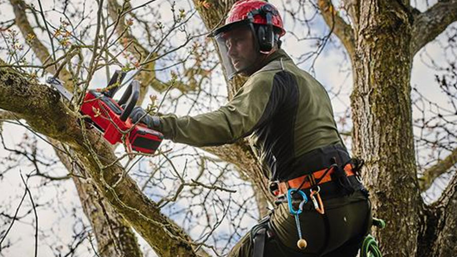 tronçonneuse sans fil Fortexxa 18/20 TH 4600020 Einhell tronçonneuse sans fil Fortexxa 18/20 TH 4600020 Einhell